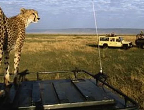 VICTORIA FALLS & CHOBE GETAWAY | ZIMBABWE & BOTSWANA