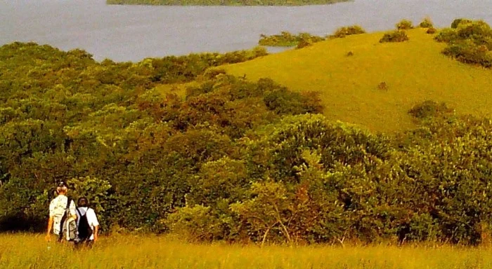 Explore Ndere Island National Park: A Hidden Gem in Lake Victoria