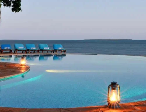 ZANZIBAR – FUMBA BEACH (SOUTH COAST)