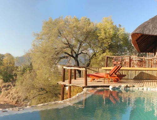 EXCLUSIVE CAMPS SAFARI ACROSS KENYA & TANZANIA