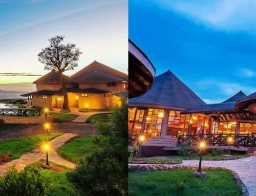 LAKE NAKURU HOTELS, LODGES & CAMPS