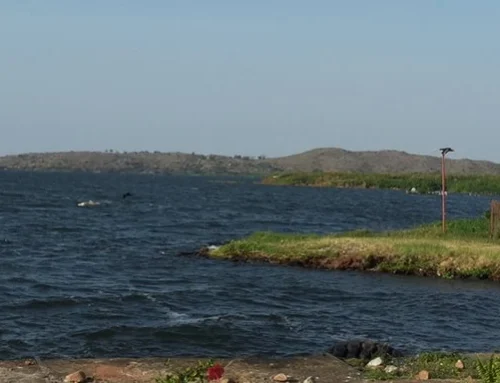 THE BEAUTY OF TANZANIA