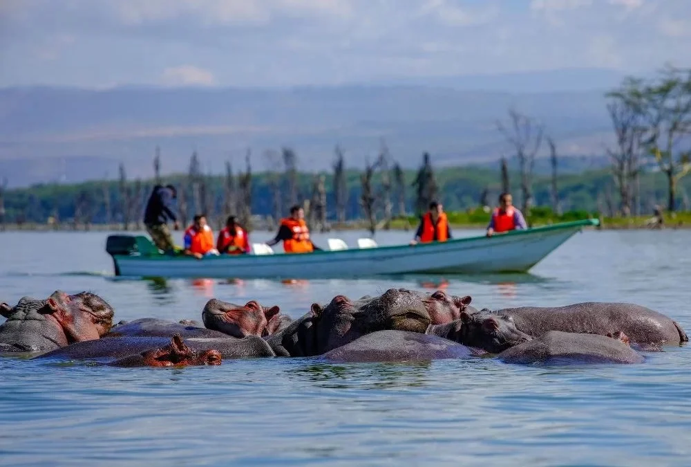 boating-around-Lake-Naivasha-1000×675-ezgif.com-webp-to-jpg-converter