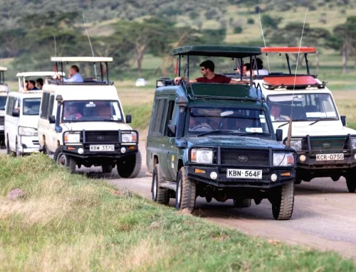 Discover the Wonders of Lake Nakuru National Park with Safaris and Travel Africa!