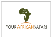 your-african-safari